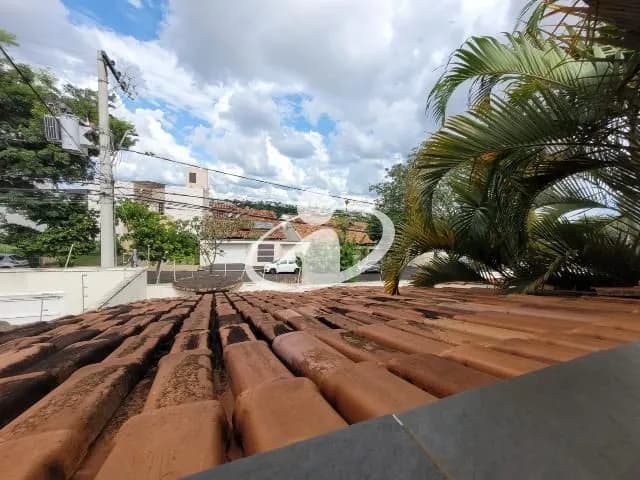 Imagem 7