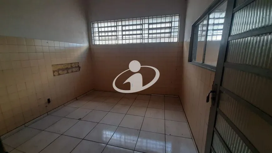 Imagem 13