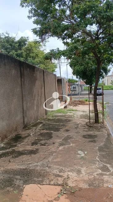 Imagem 3