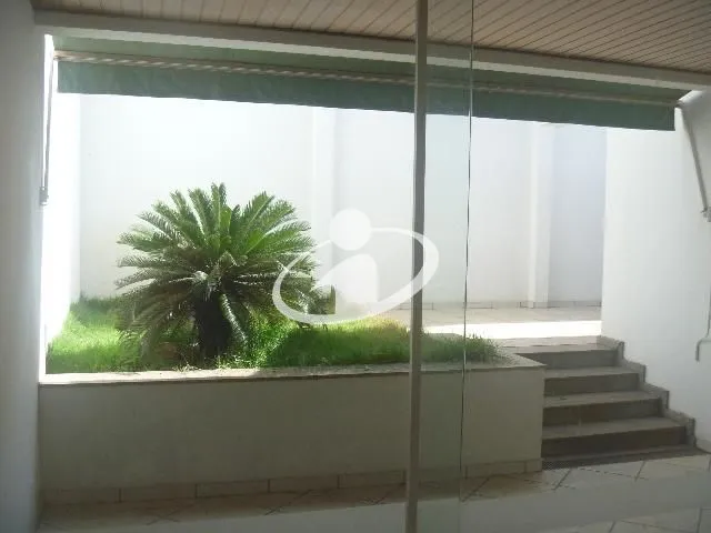 Imagem 7