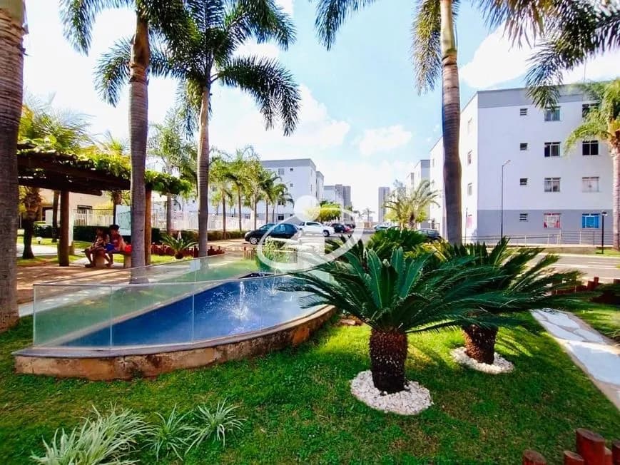 Imagem 4