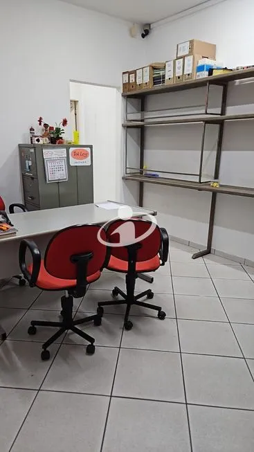 Imagem 12