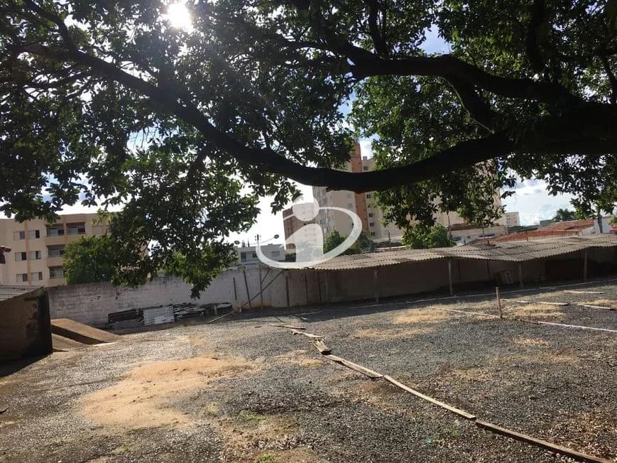 Imagem 4