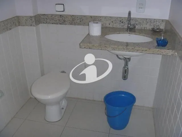 Imagem 11