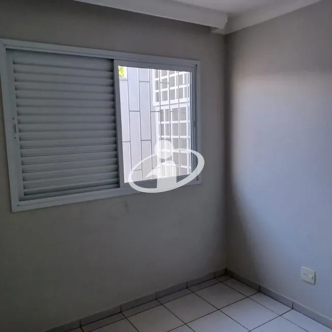 Imagem 8