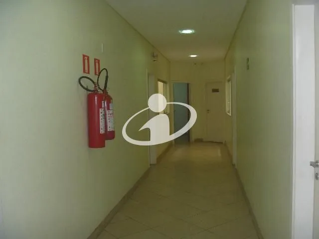 Imagem 8