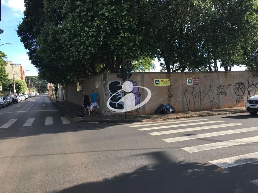 Imagem 3