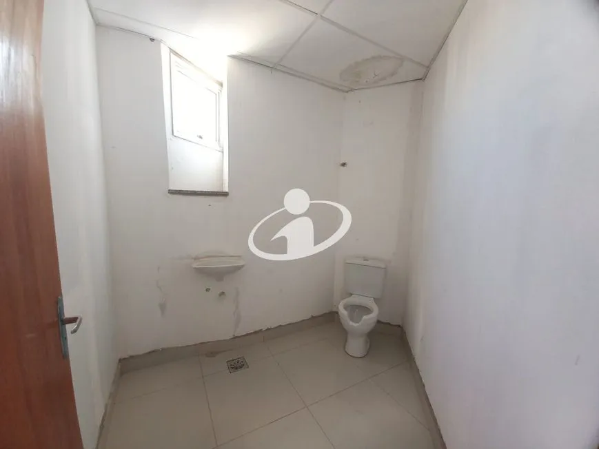 Imagem 13