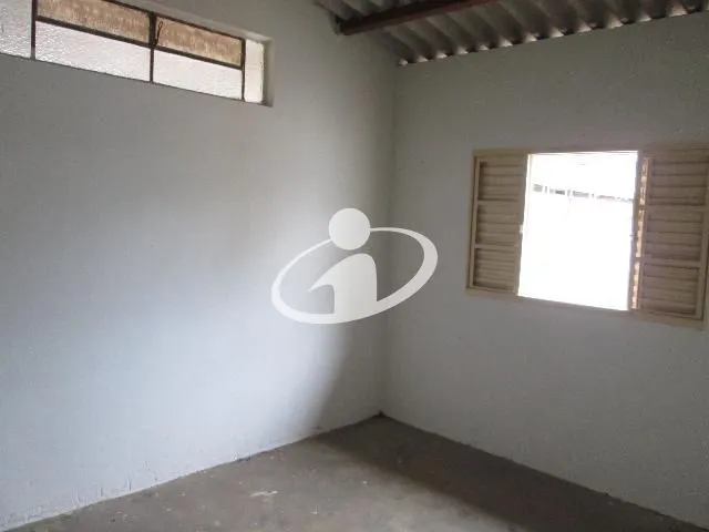 Imagem 13