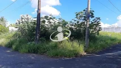 Terreno para alugar no Altamira imagem 1