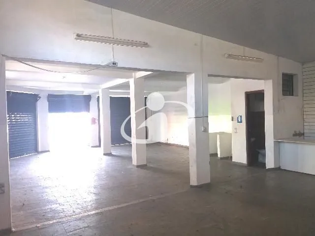 Imagem 3
