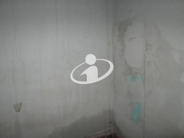 Imagem 7