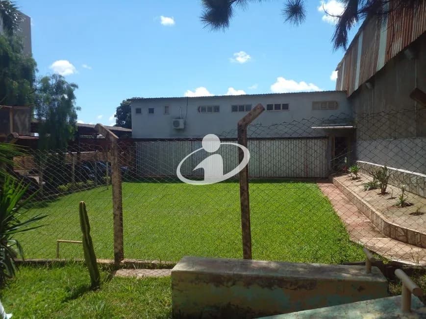Imagem 9