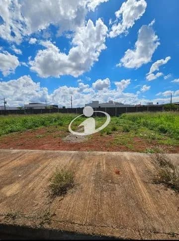 Terreno para alugar no Novo Mundo imagem 1