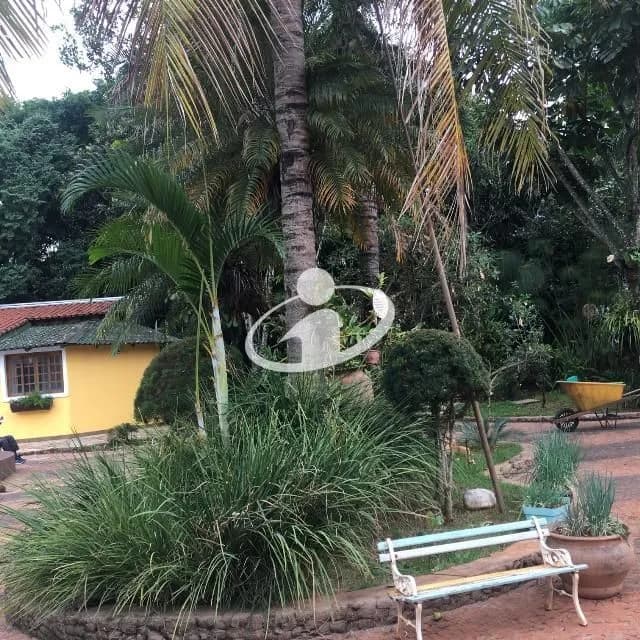 Imagem 20