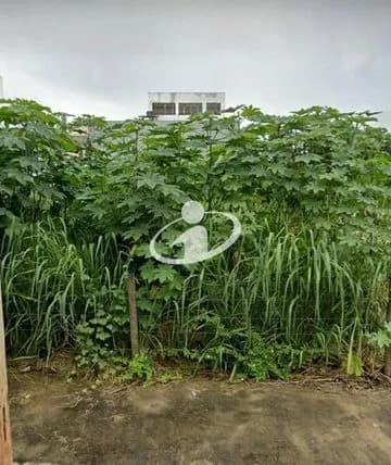 Terreno para vender no Cidade Jardim imagem 1