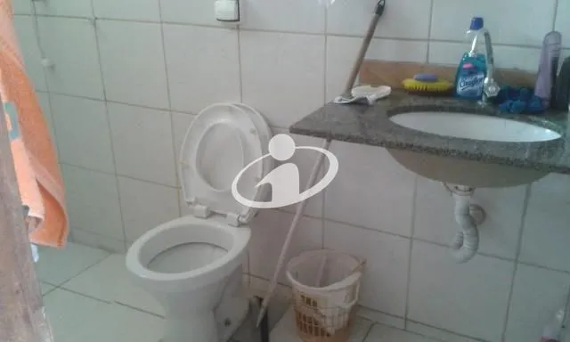 Imagem 11