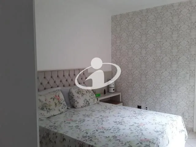 Imagem 15