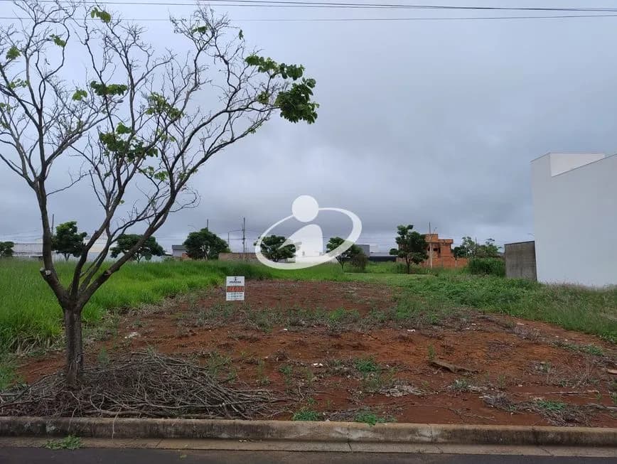 Imagem 4