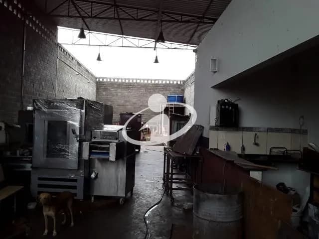 Imagem 3