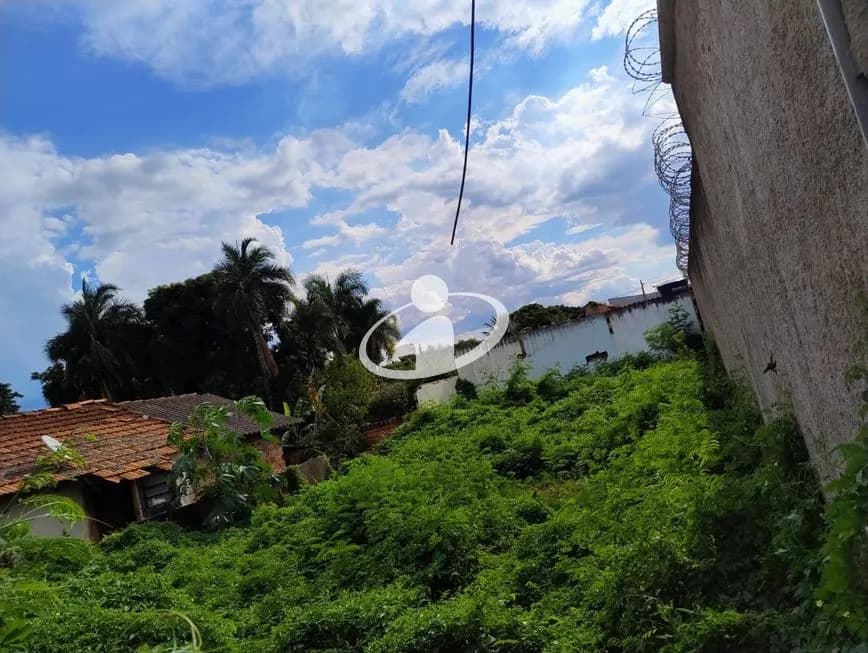Imagem 2