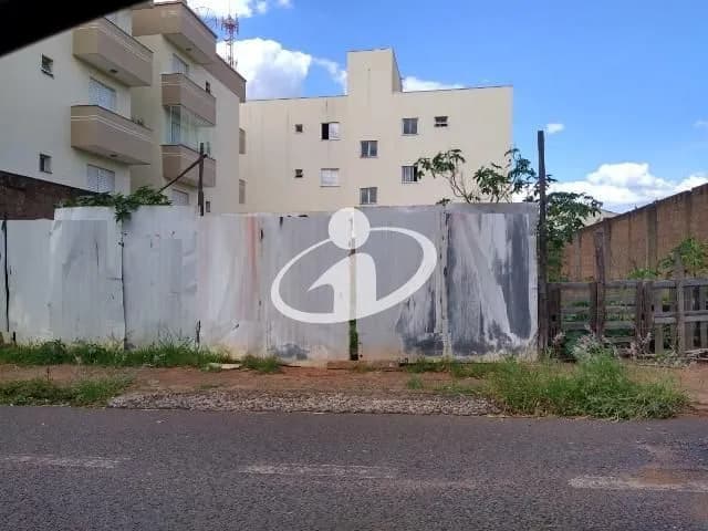 Imagem 3