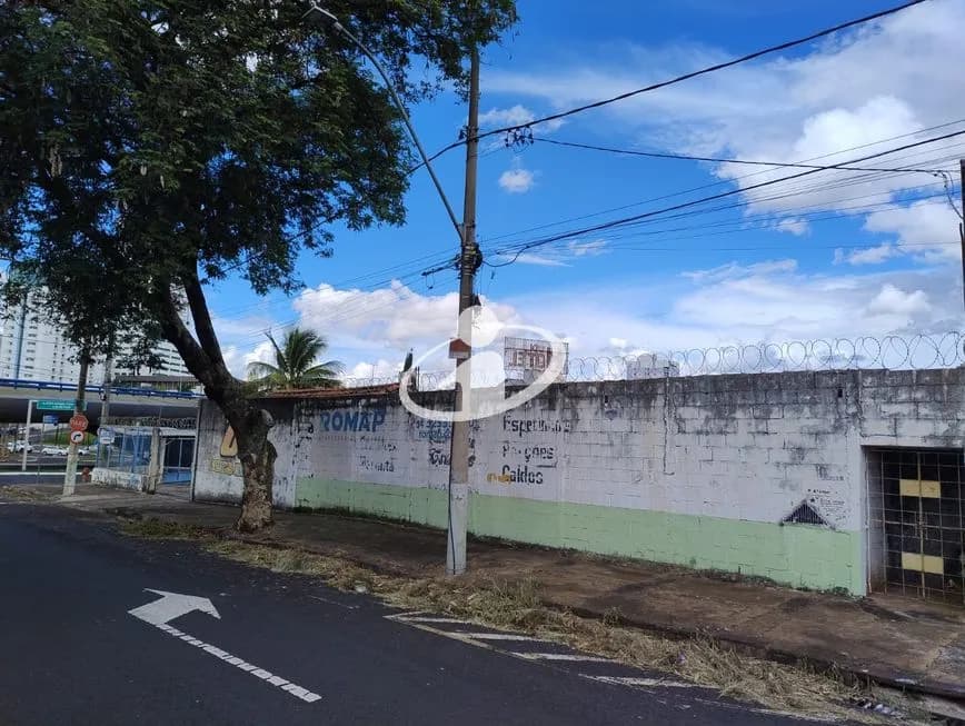 Imagem 3