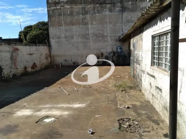 Imagem 23