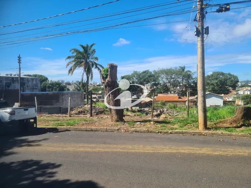 Imagem 3