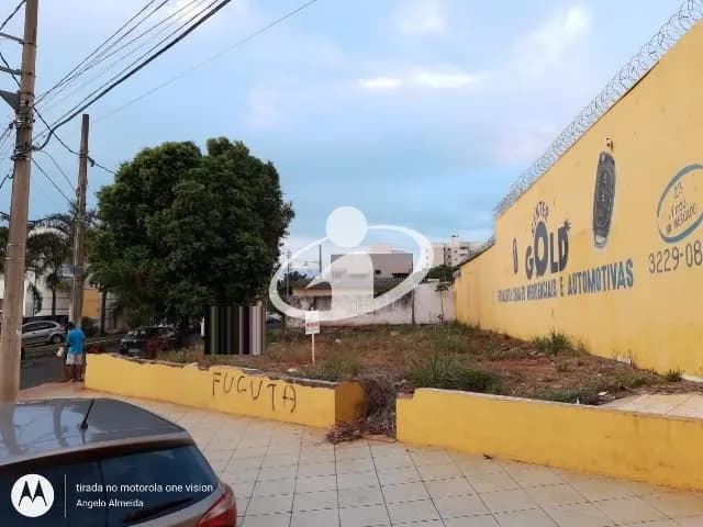 Imagem 3