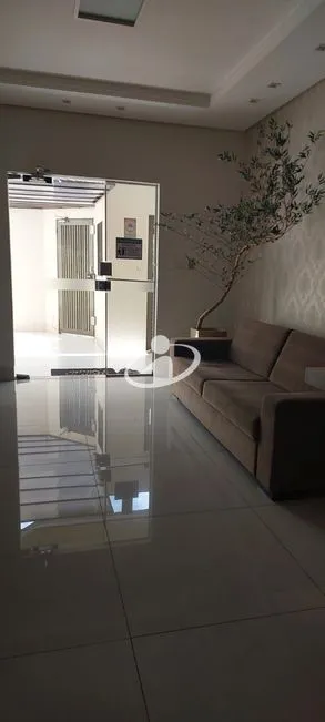 Imagem 7