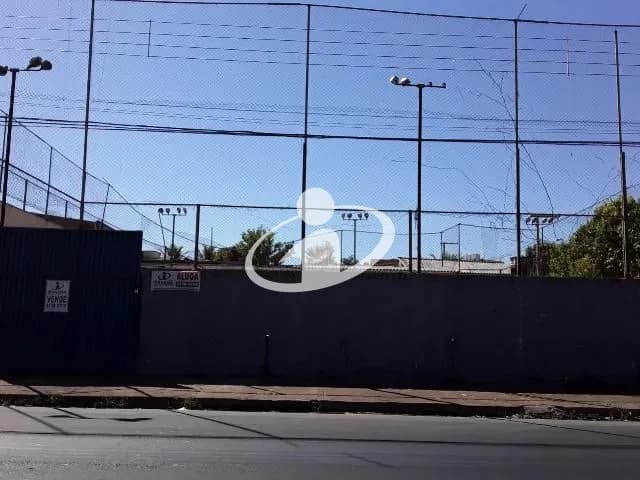 Imagem 4