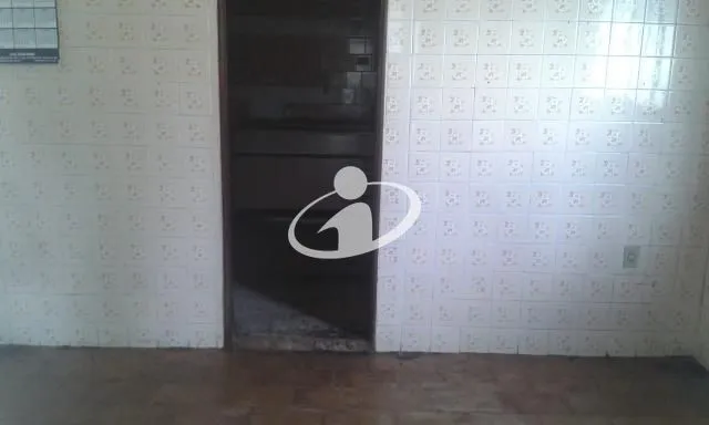 Imagem 7