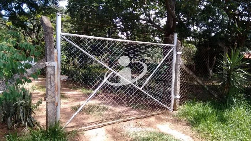 Imagem 8