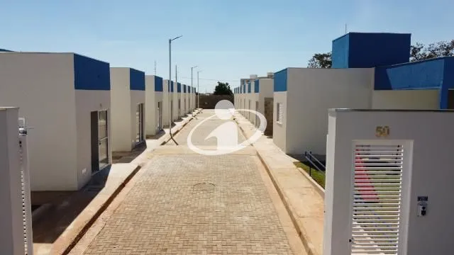 Imagem 20