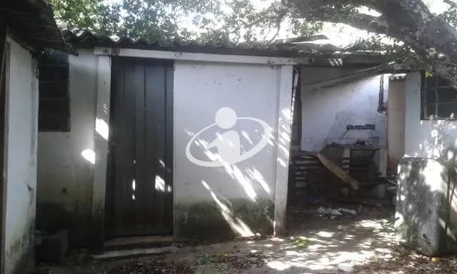 Imagem 5