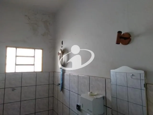 Imagem 15