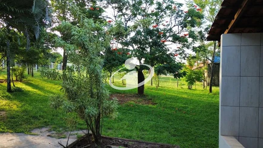 Imagem 11
