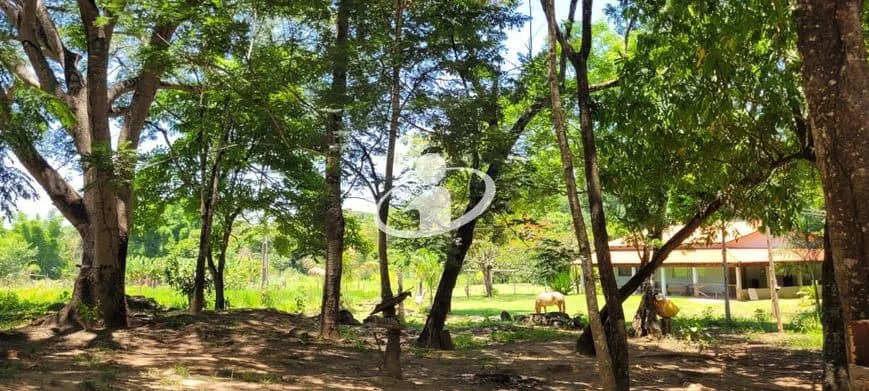 Imagem 36