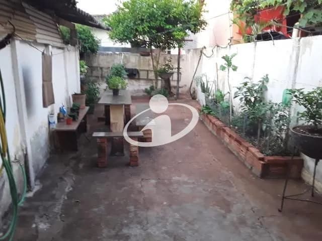 Imagem 5