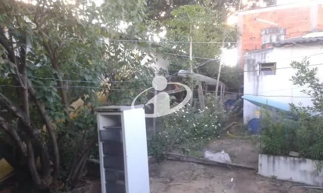 Imagem 5