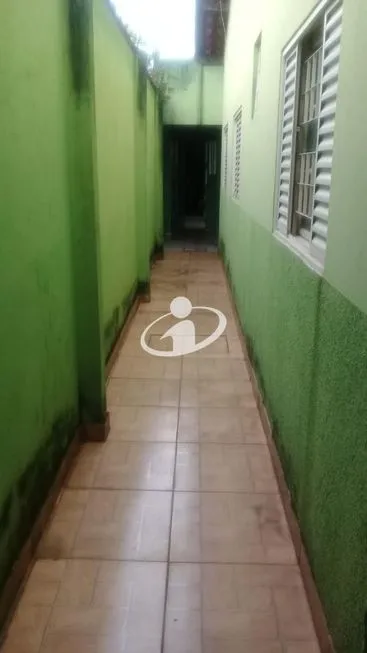 Imagem 4