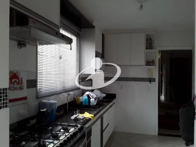 Imagem 3