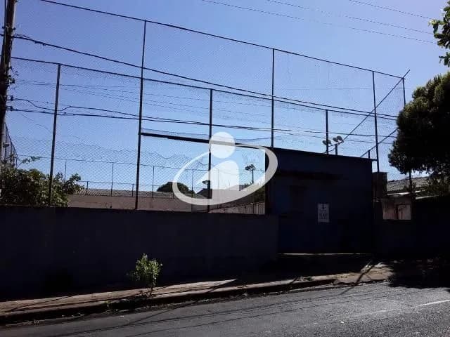 Imagem 3