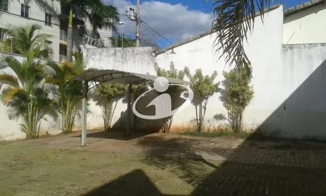 Imagem 8