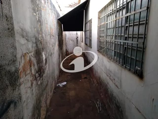 Imagem 20