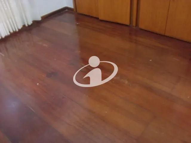 Imagem 15