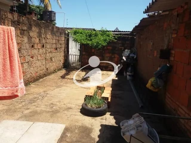 Imagem 13
