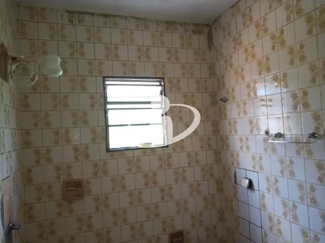 Imagem 10