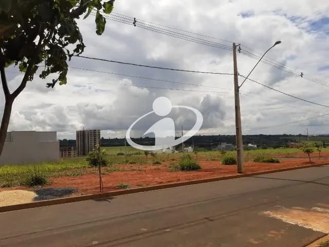 Imagem 6